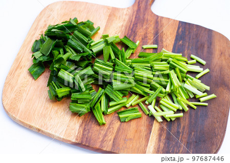 Culantro or sawtooth coriander on cutting board on white background. 97687446
