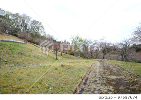 やすらぎの里公園 2022-4-17 #31 やすらぎの里公園 2022-4-17 #31 97687674