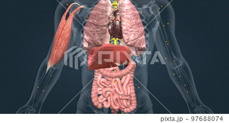 Adrenaline alarm reaction At this stage, your body sends a distress signal to your brain. 97688074