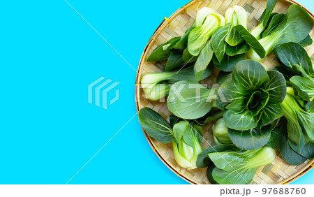 Bok choy on blue background. Bok choy on blue background. 97688760