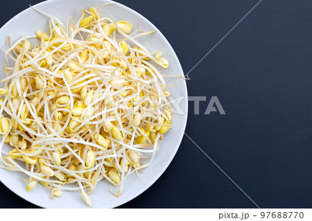 Fresh soybean sprouts for cooking. 97688770