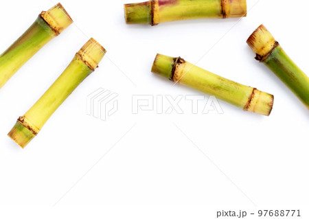 Sugar cane on white background. Copy space 97688771