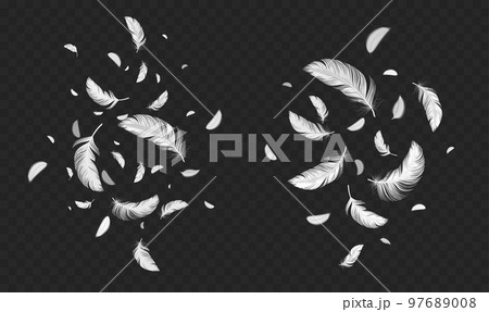 Falling white soft feathers, bird plumage splash 97689008