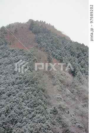 雪の降ったべふ峡 97689202