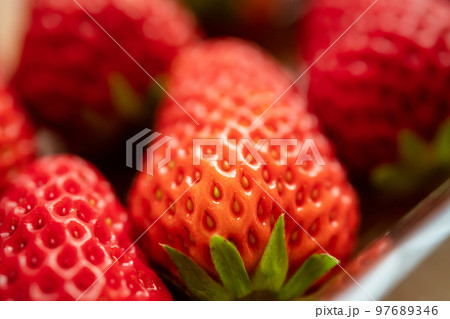 いちご 97689346