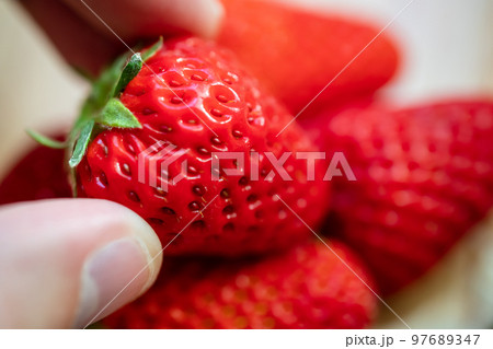 いちご 97689347