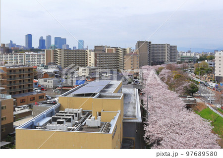 名古屋市北区　黒川の桜並木 97689580