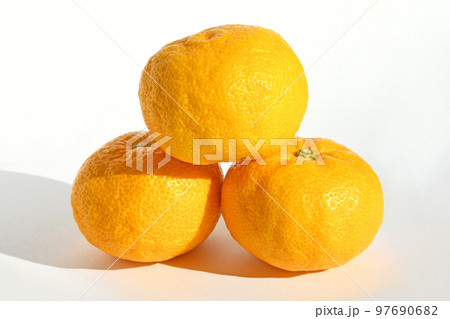 ユズ（柚子） 97690682