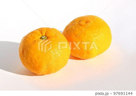 ユズ（柚子） 97691144