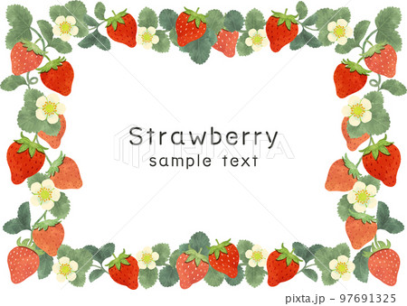 レトロなイチゴのフレームイラスト素材 レトロなイチゴのフレームイラスト素材 97691325