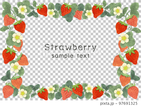 レトロなイチゴのフレームイラスト素材 レトロなイチゴのフレームイラスト素材 97691325