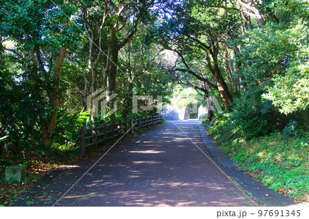 灯台への道・潮岬灯台(和歌山県・串本町) 灯台への道・潮岬灯台(和歌山県・串本町) 97691345