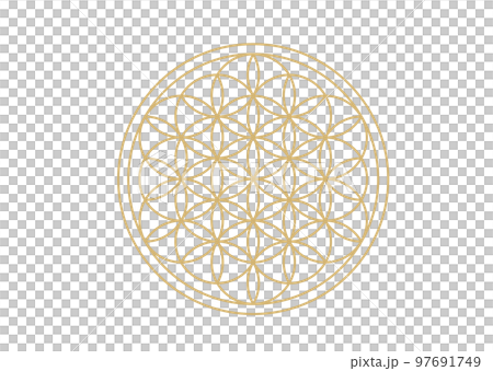 生命之花 97691749