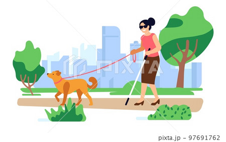 Blind woman with guide dog walks in park. Disabled persons outdoor stroll. Pet leading handicapped female. Visual disability. Trained animal companion. Invalid assistance. Vector concept 97691762