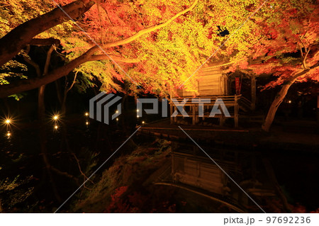 世界遺産 中尊寺 紅葉ライトアップ 世界遺産 中尊寺 紅葉ライトアップ 97692236