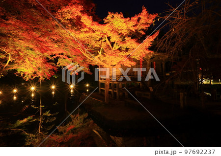 世界遺産 中尊寺 紅葉ライトアップ 世界遺産 中尊寺 紅葉ライトアップ 97692237