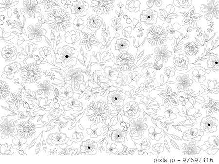 花　シンプルライン、線画、ナチュラル　美しい線画のボタニカル背景素材　Vector 97692316