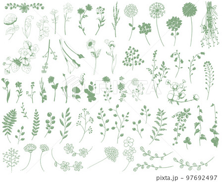 手描き線画の花と葉と植物の素材セット 97692497