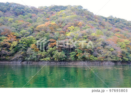 遊覧船からみた帝釈狭にある神龍湖湖岸の紅葉 遊覧船からみた帝釈狭にある神龍湖湖岸の紅葉 97693803