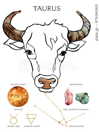 Watercolor zodiac poster of composition taurus sign. Hand painted abstract card isolated on white background. Minimalistic gold linear illustration for design, print, fabric or background. Watercolor zodiac poster of composition taurus sign. Hand painted abstract card isolated on white background. Minimalistic gold linear illustration for design, print, fabric or background. 97694069
