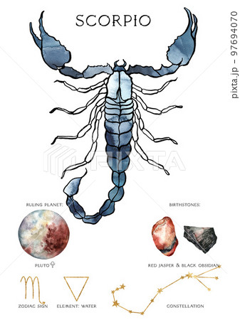 Watercolor zodiac poster of composition scorpio sign. Hand painted abstract card isolated on white background. Minimalistic gold linear illustration for design, print, fabric or background. 97694070