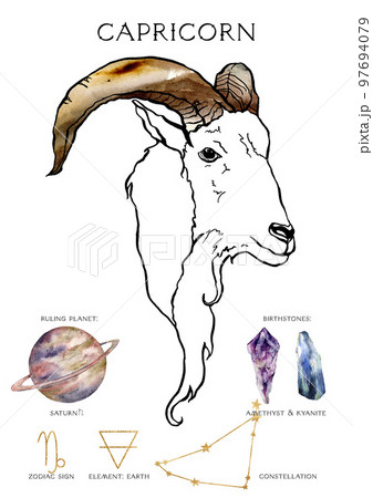 Watercolor zodiac poster of composition capricorn sign. Hand painted abstract card isolated on white background. Minimalistic gold linear illustration for design, print, fabric or background. 97694079