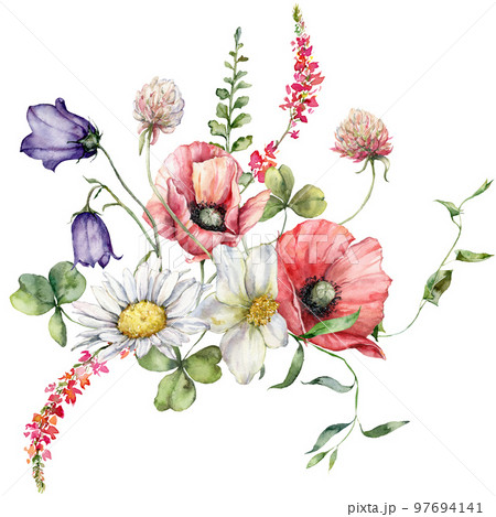Watercolor meadow flowers bouquet of poppy, chamomile and campanula. Hand painted floral poster of wildflowers isolated on white background. Holiday Illustration for design, print, background. 97694141