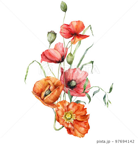 Watercolor meadow flowers bouquet of poppy, leaves and buds. Hand painted floral poster of wildflowers isolated on white background. Holiday Illustration for design, print, background. 97694142