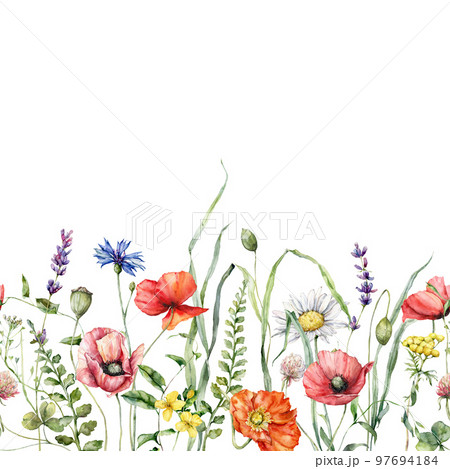 Watercolor meadow flowers border of poppy, chamomile, buttercup, campanula and sage. Hand painted floral card of wildflowers isolated on white background. Illustration for design, print, background. 97694184
