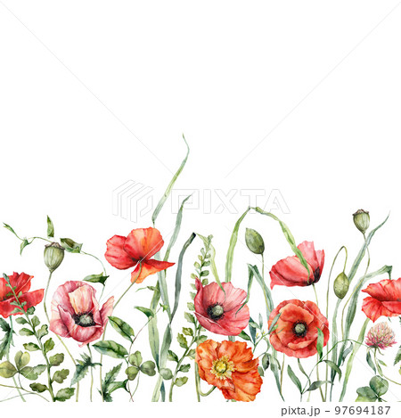 Watercolor meadow flowers border of clover, poppy, geranium and lavender. Hand painted floral card of wildflowers isolated on white background. Holiday Illustration for design, print or background. Watercolor meadow flowers border of clover, poppy, geranium and lavender. Hand painted floral card of wildflowers isolated on white background. Holiday Illustration for design, print or background. 97694187