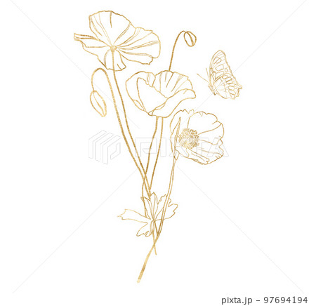 Watercolor meadow flowers bouquet of linear poppy and butterfly. Hand painted floral gold poster of wildflowers isolated on white background. Holiday Illustration for design, print, background. Watercolor meadow flowers bouquet of linear poppy and butterfly. Hand painted floral gold poster of wildflowers isolated on white background. Holiday Illustration for design, print, background. 97694194