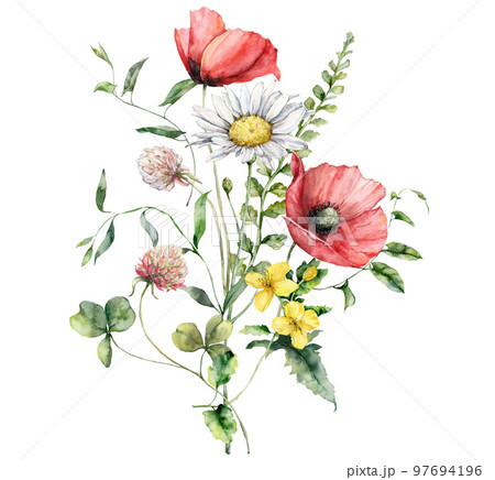 Watercolor meadow flowers bouquet of poppy, chamomile, clover and geranium. Hand painted floral poster of wildflowers isolated on white background. Holiday Illustration for design, print, background. 97694196