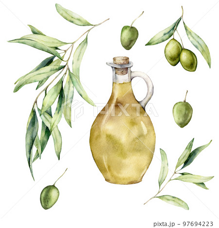 Watercolor set of olive branches, leaves, berries and bottle with oil. Hand painted food and nature elements isolated on white background. Plants illustration for design, print, fabric or background. 97694223