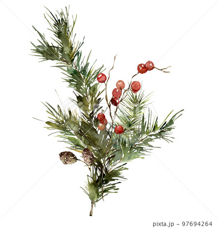 Pine Branches Red Berries Christmas Decor Stock Vector (Royalty Free)  1190583247