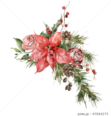 Watercolor Christmas bouquet of poinsettia, holly, rose and pine branches. Hand painted holiday card of flowers and leaves isolated on white background. Illustration for design, print, background. 97694275