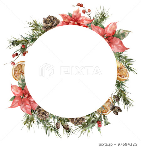 Watercolor Christmas circle frame of poinsettia, spruce branches, cones and lemon. Hand painted holiday card of flowers isolated on white background. Illustration for design, print, background. 97694325