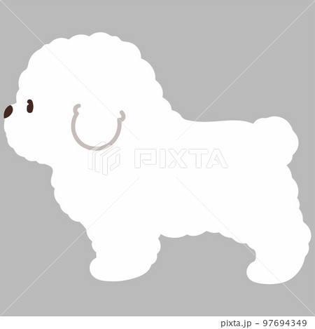 横向きのシンプルで可愛いビションフリーゼのイラスト 主線なし 横向きのシンプルで可愛いビションフリーゼのイラスト 主線なし 97694349