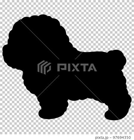 Sideways simple and cute bichon frize silhouette 97694350