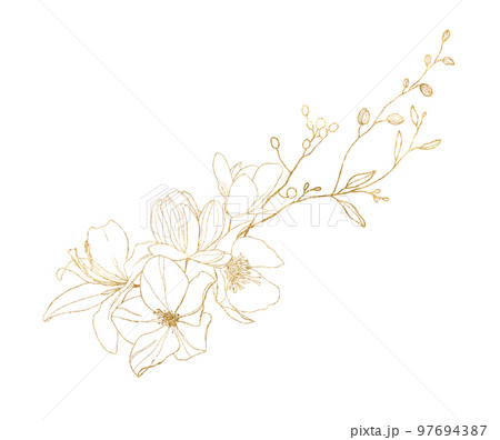 Watercolor gold linear bouquet of lotus, magnolia, rose, ranunculus and lily. Hand painted meadow flowers and leaves isolated on white background. Floral illustration for design, print or background. Watercolor gold linear bouquet of lotus, magnolia, rose, ranunculus and lily. Hand painted meadow flowers and leaves isolated on white background. Floral illustration for design, print or background. 97694387