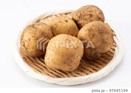 じゃがいも 97695199