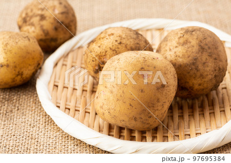じゃがいも 97695384