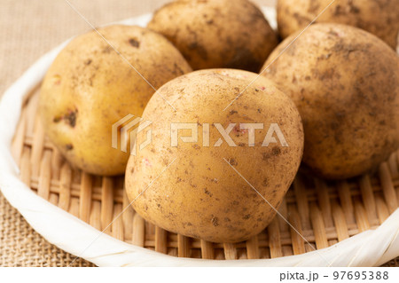 じゃがいも 97695388