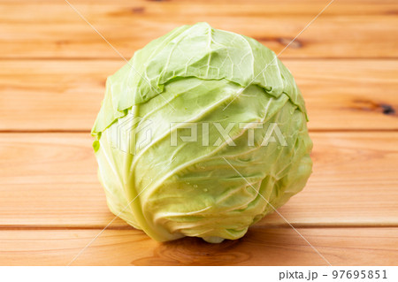 丸玉のグリーンボールキャベツ 丸玉のグリーンボールキャベツ 97695851