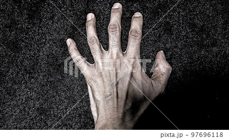 手の甲 手の甲 97696118