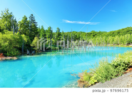 北海道　夏の青空と青い池 97696175
