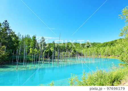 北海道　夏の青空と青い池 97696179