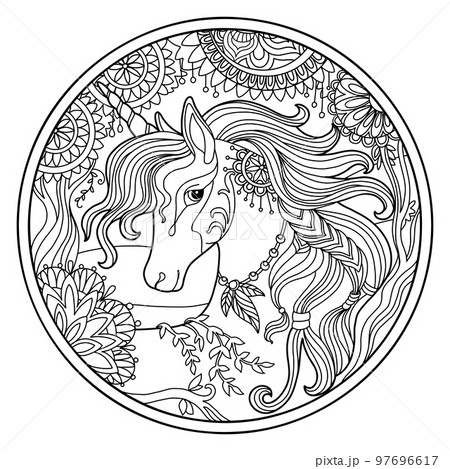 Head of unicorn in flowers round coloring vector illustration 97696617