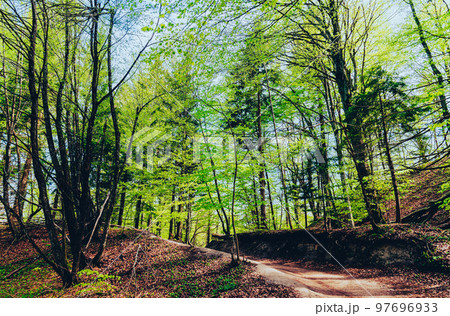 クロアチア　世界遺産　プリトヴィツェ湖群国立公園 97696933