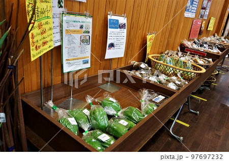 道の駅「まくらがの里こが」～新鮮な地元野菜が豊富(4) 97697232