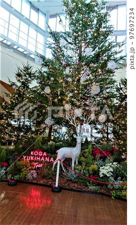 道の駅「まくらがの里こが」~クリスマス”ゆきはなツリー(2)” 道の駅「まくらがの里こが」~クリスマス”ゆきはなツリー(2)” 97697234